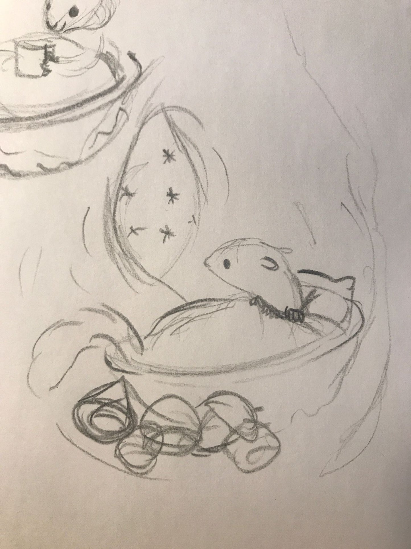 Il quaderno di Ghiro